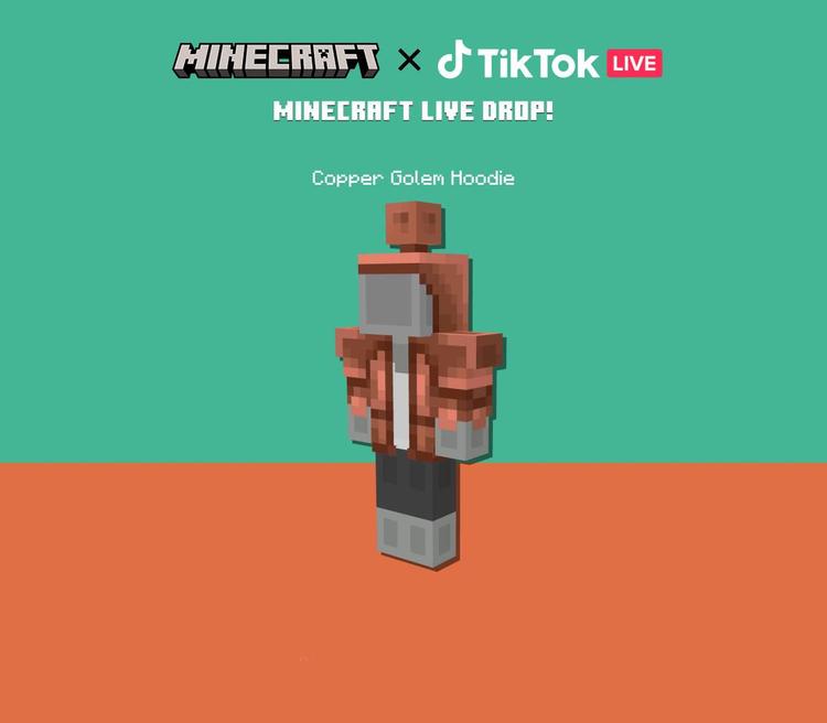 Minecraft Java & Bedrock اصدار - Copper Core Twitch Skin DLC بي سي كود رقمي