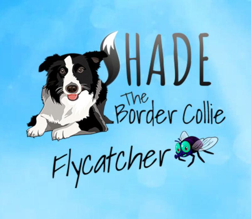 SHADE The Border Collie Flycatcher بي سي ستيم كود رقمي