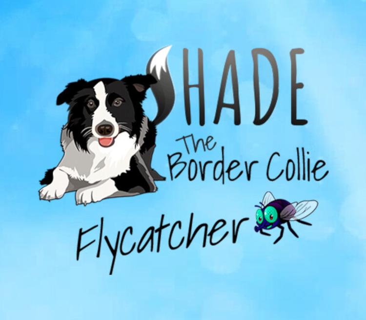 SHADE The Border Collie Flycatcher بي سي ستيم كود رقمي