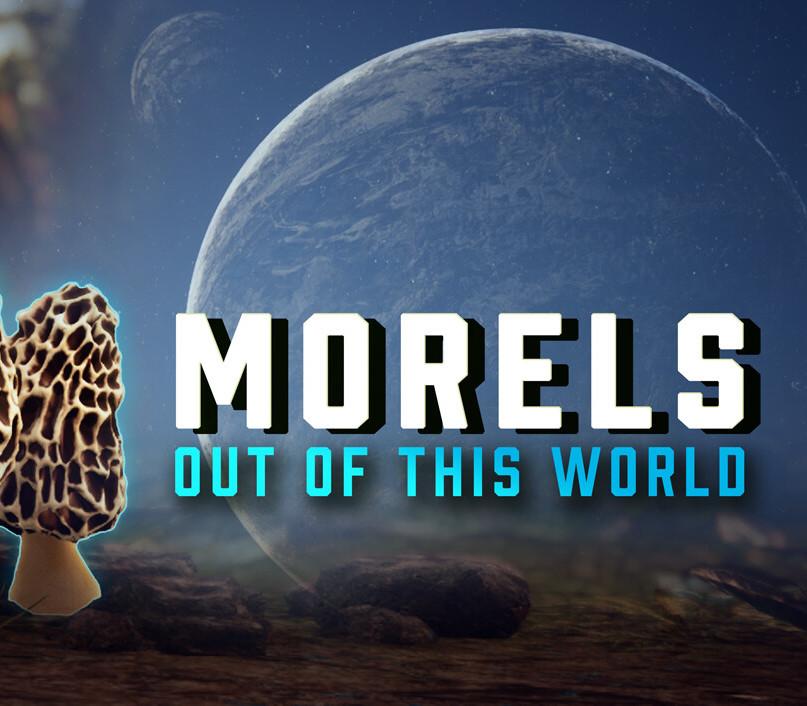 Morels: Out Of This World بي سي ستيم كود رقمي