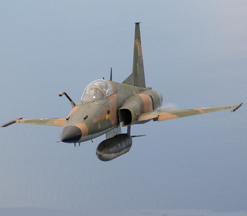 DCS: F-5E Tiger II Digital Download كود رقمي
