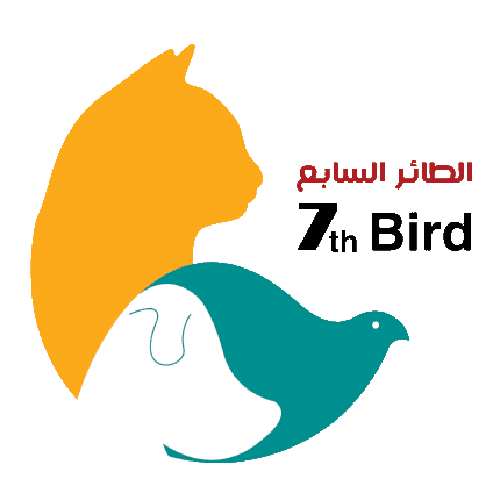 الطائر السابع