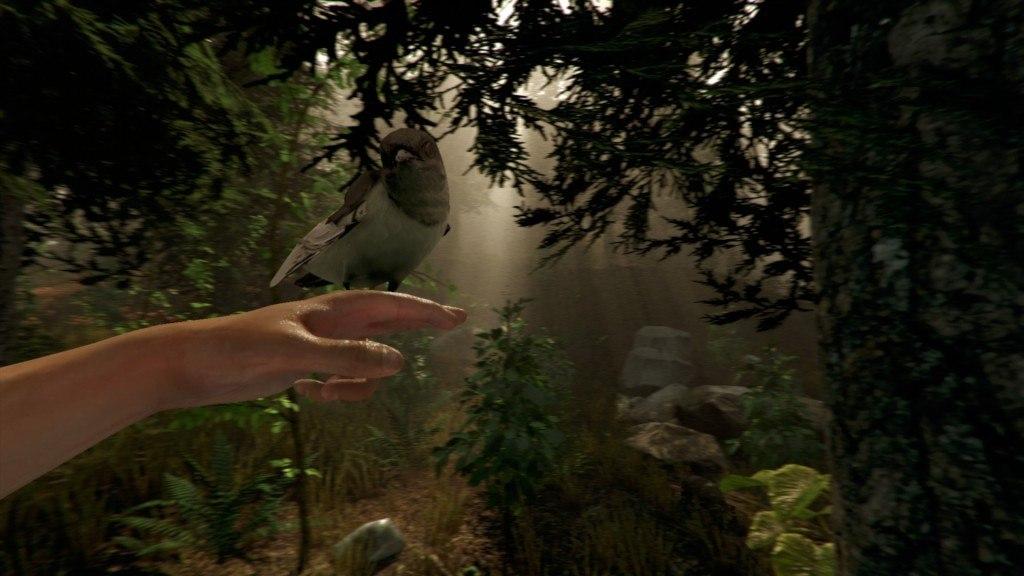 Screen Shot image 1 The Forest ستيم هدية
