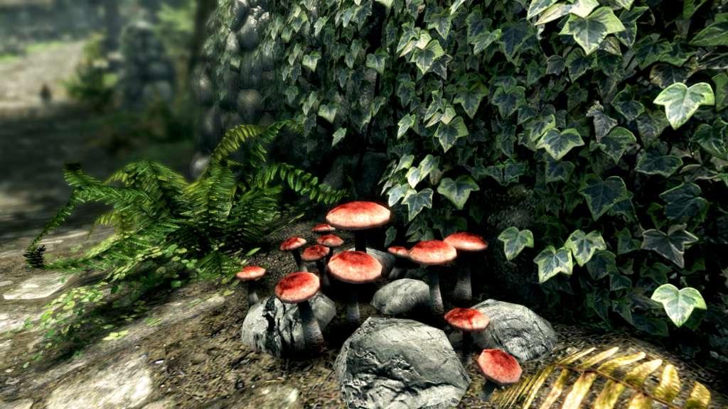 Screen Shot image 3 The Elder Scrolls V: Skyrim Special اصدار بلايستيشن 4/5 حساب