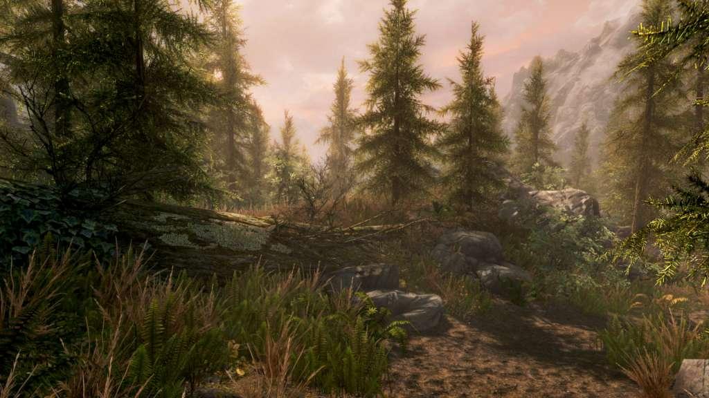Screen Shot image 4 The Elder Scrolls V: Skyrim Special اصدار بلايستيشن 4/5 حساب