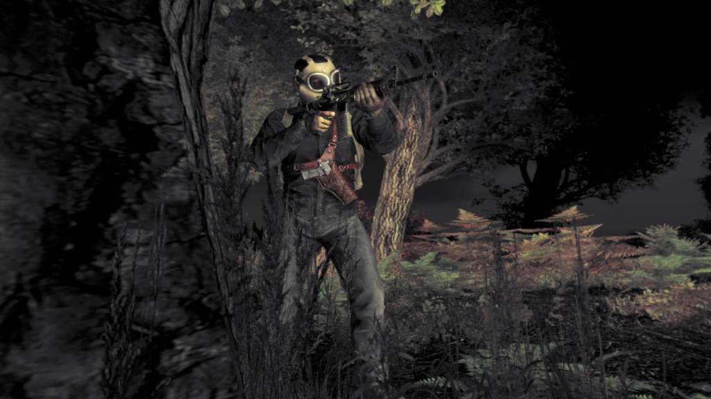 Screen Shot image 0 DayZ اصدار الديلوكس اوروبي بي سي ستيم كود رقمي