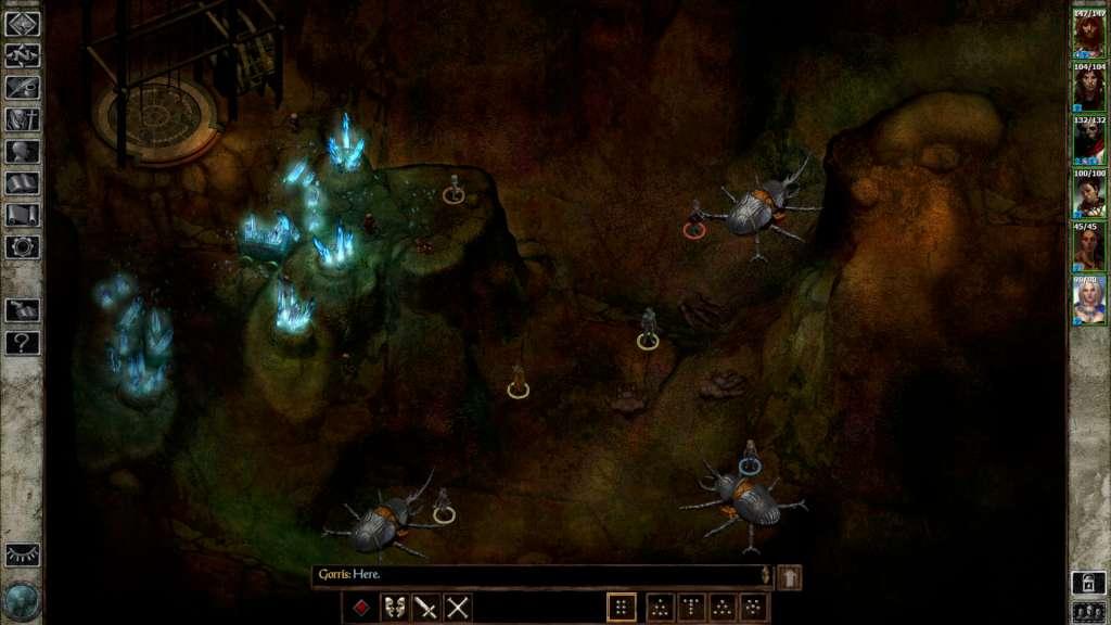 Icewind Dale: Enhanced اصدار بي سي ستيم كود رقمي (Valid Until March 2027)