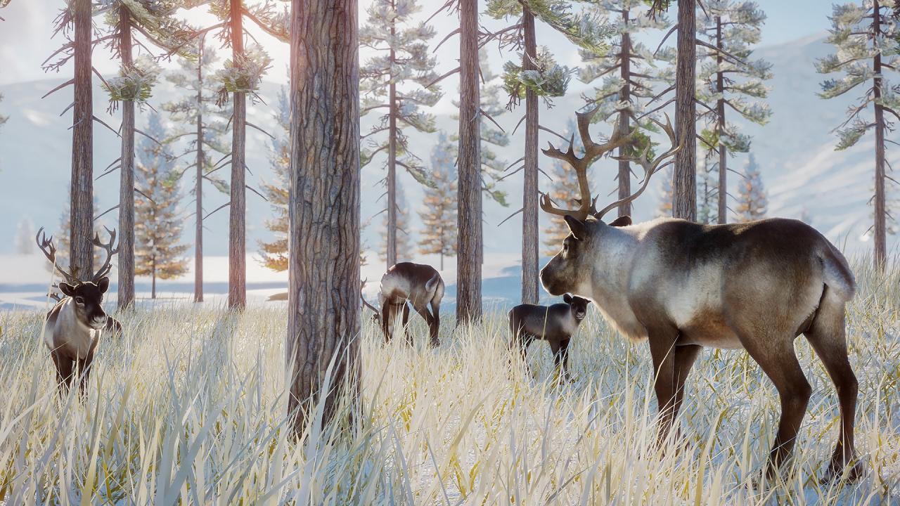 Screen Shot image 2 Planet Zoo - Arctic Pack DLC رابط هديه ستيم