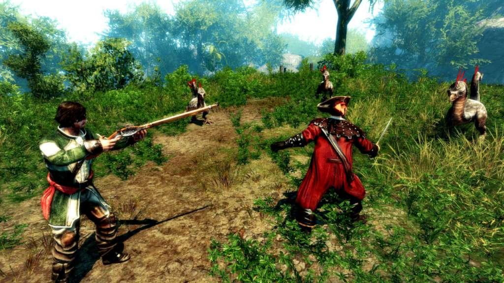 Screen Shot image 4 Risen 2: Dark Waters GOG كود رقمي