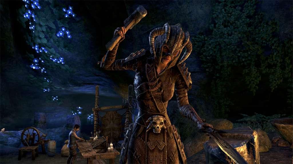 Screen Shot image 1 The Elder Scrolls Online: Tamriel Unlimited ستيم كود رقمي