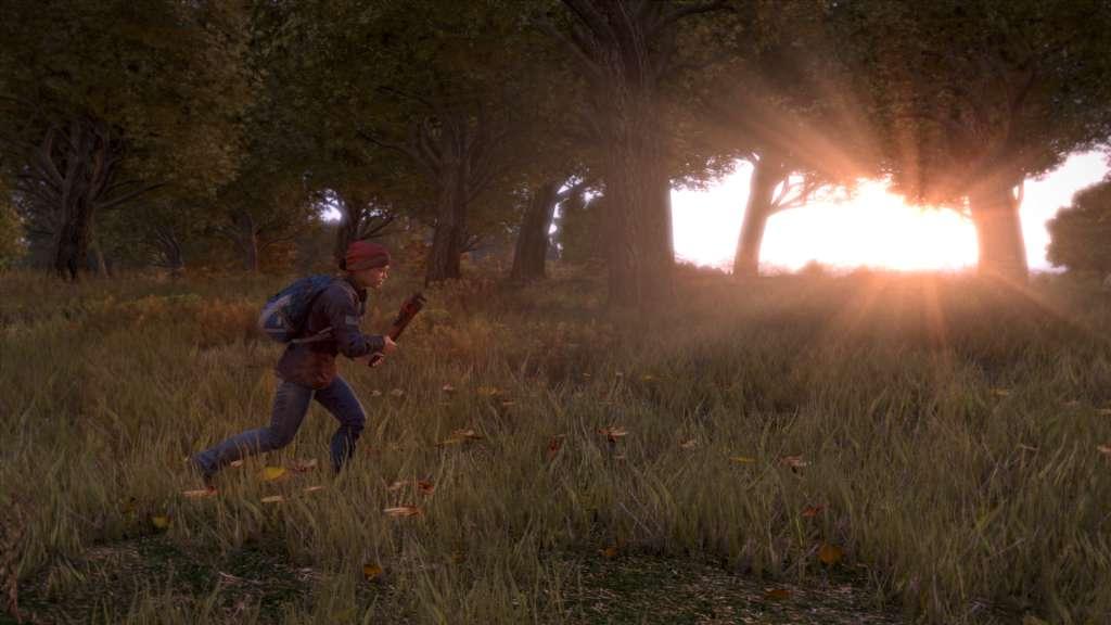 Screen Shot image 2 DayZ بي سي رابط هديه ستيم