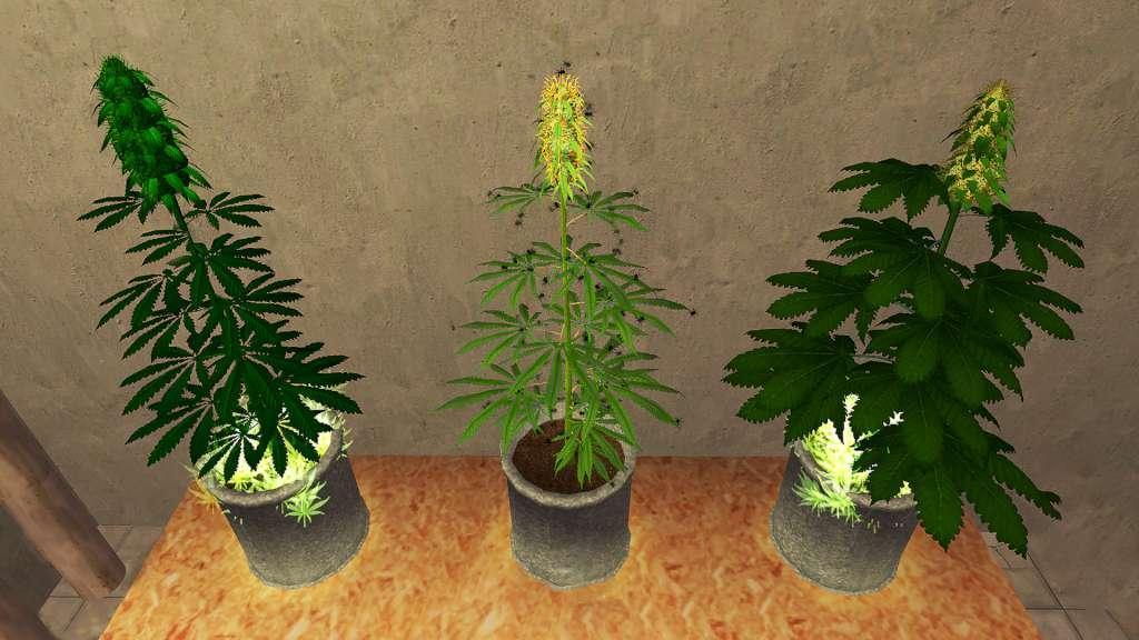 Screen Shot image 1 Weed Shop 2 رابط هديه ستيم