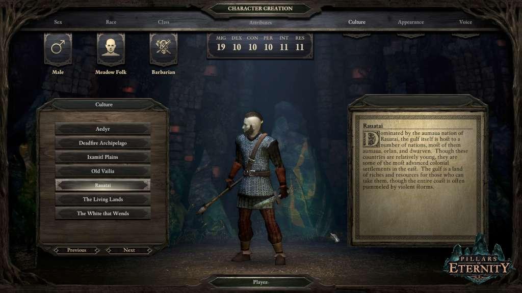 Screen Shot image 2 Pillars Of Eternity Definitive اصدار بي سي ستيم كود رقمي