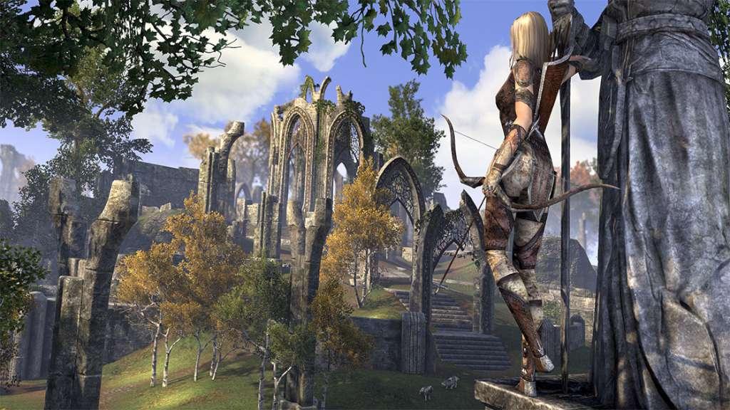 Screen Shot image 4 The Elder Scrolls Online: Tamriel Unlimited ستيم كود رقمي