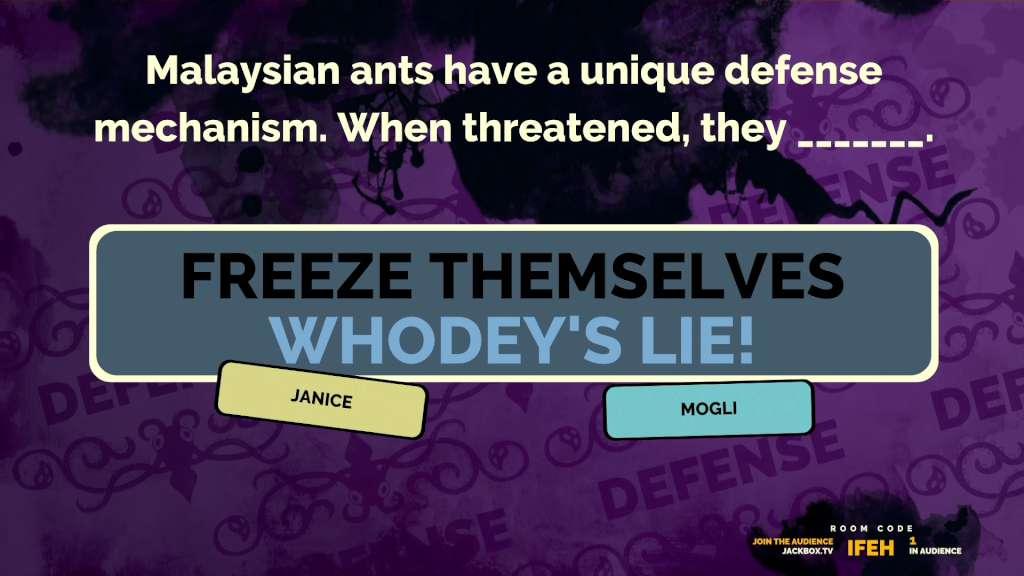Screen Shot image 0 The Jackbox Party Pack 2 امريكي اكسبوكس 1 كود رقمي