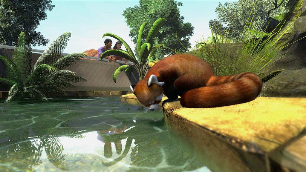 Screen Shot image 3 Zoo Tycoon اولتمت Animal Collection امريكي اكسبوكس 1 / ويندوز 10 كود رقمي