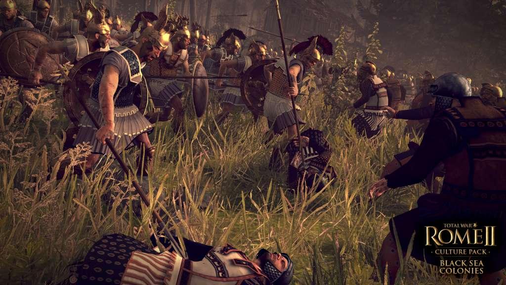 Total War: ROME II - Black Sea Colonies Culture Pack DLC بي سي ستيم هدية