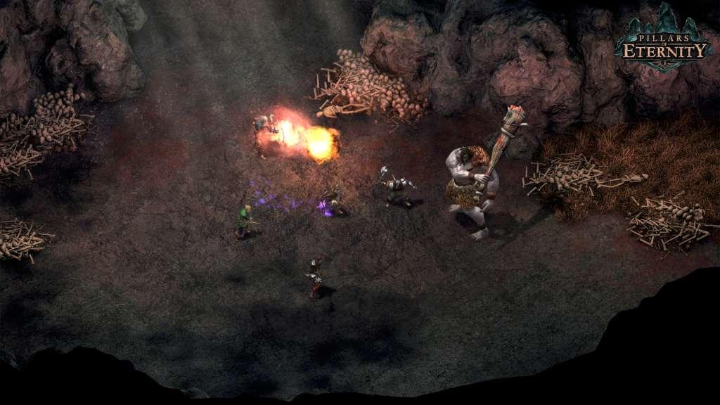 Screen Shot image 1 Pillars Of Eternity Definitive اصدار بي سي ستيم حساب