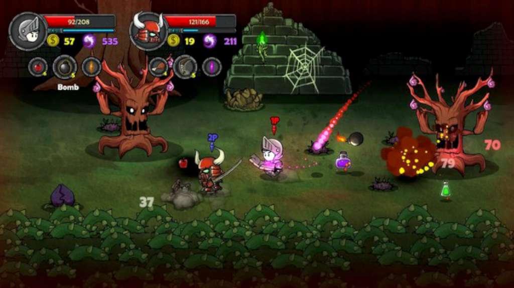 Screen Shot image 4 Lost Castle اوروبي ستيم كود رقمي