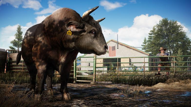 Screen Shot image 4 Far Cry 5 يوبيسوفت كونكت كود رقمي