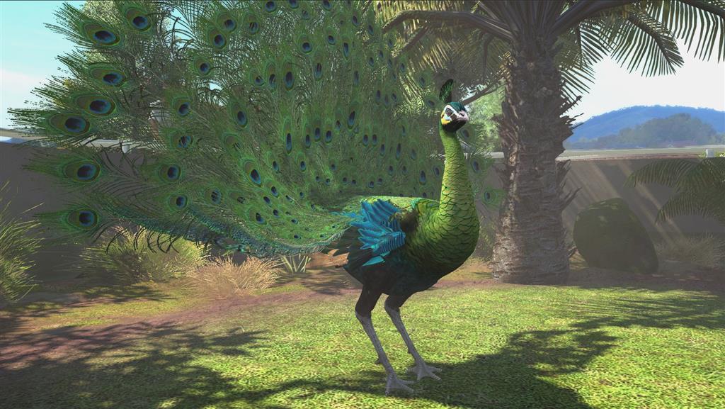 Screen Shot image 5 Zoo Tycoon اولتمت Animal Collection امريكي اكسبوكس 1 / ويندوز 10 كود رقمي