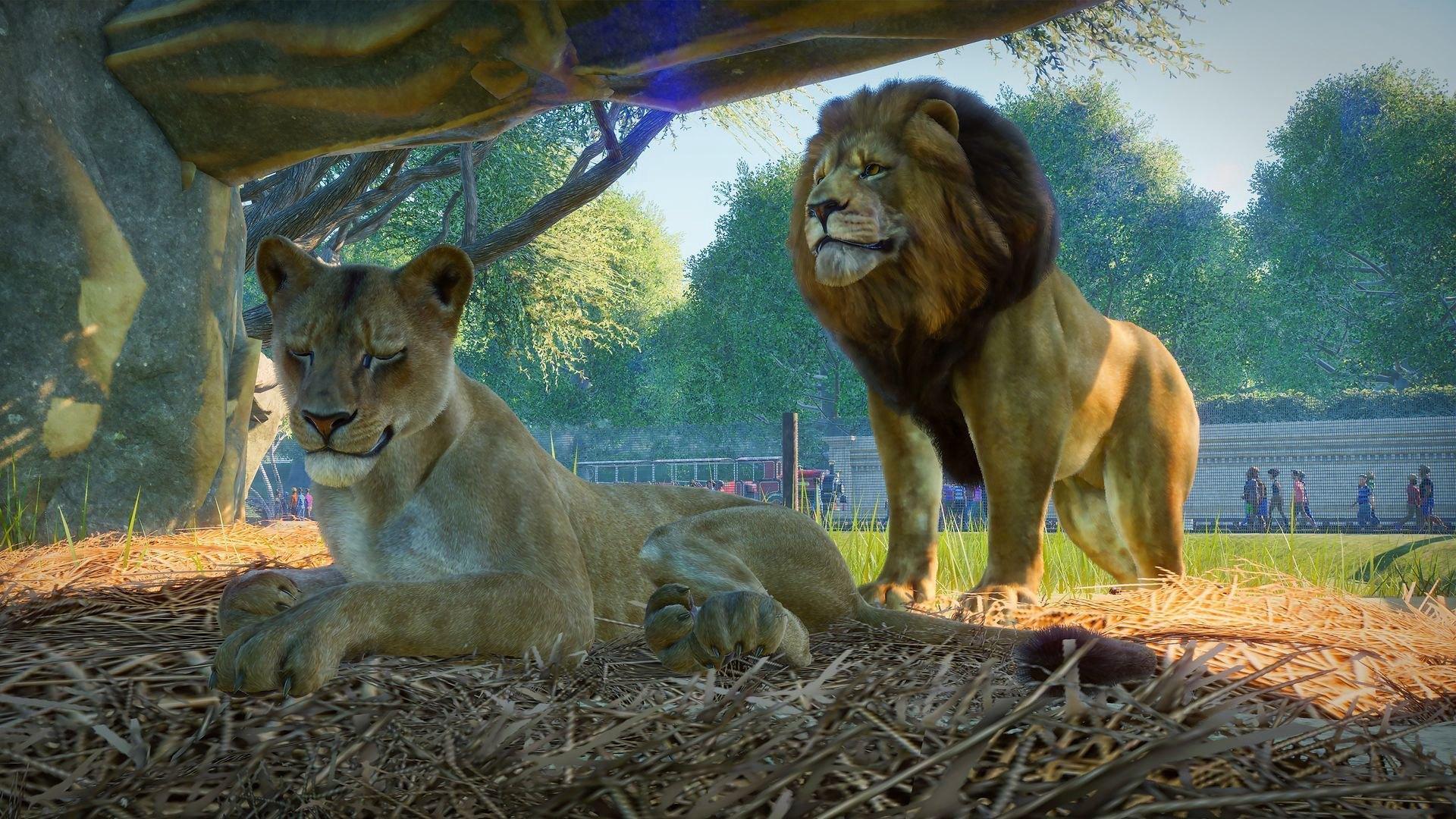 Screen Shot image 0 Planet Zoo اوروبي بي سي ستيم كود رقمي