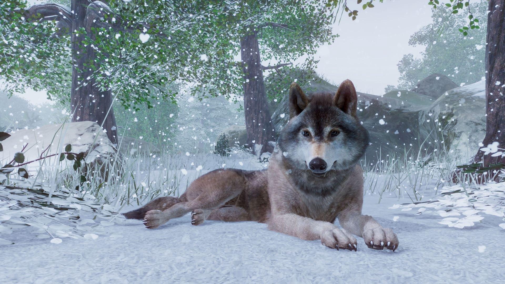 Screen Shot image 1 Planet Zoo اوروبي بي سي ستيم كود رقمي