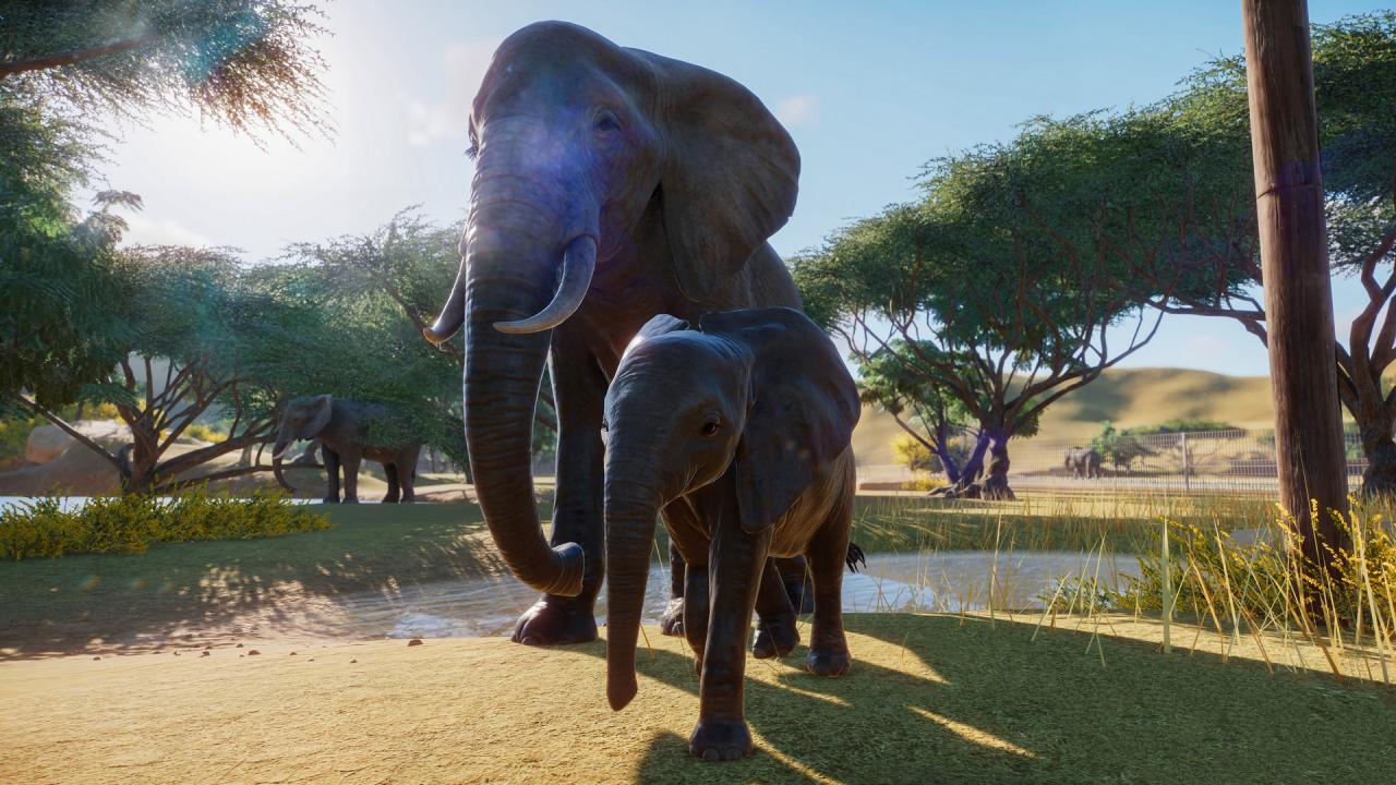 Screen Shot image 4 Planet Zoo اوروبي بي سي ستيم كود رقمي