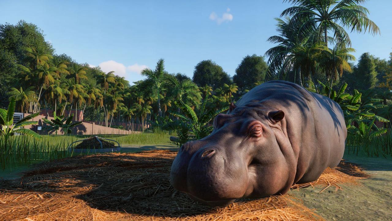 Screen Shot image 6 Planet Zoo اوروبي بي سي ستيم كود رقمي