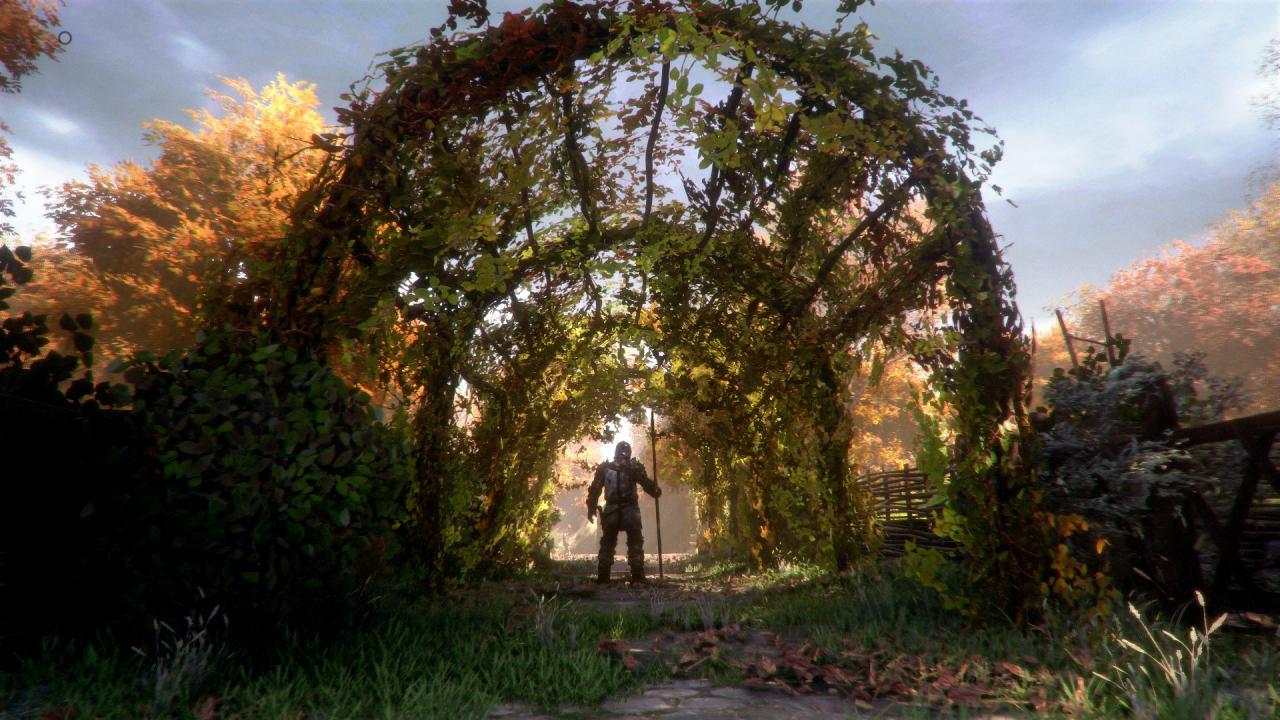 Screen Shot image 6 A Plague Tale: Innocence اوروبي اكسبوكس 1 كود رقمي