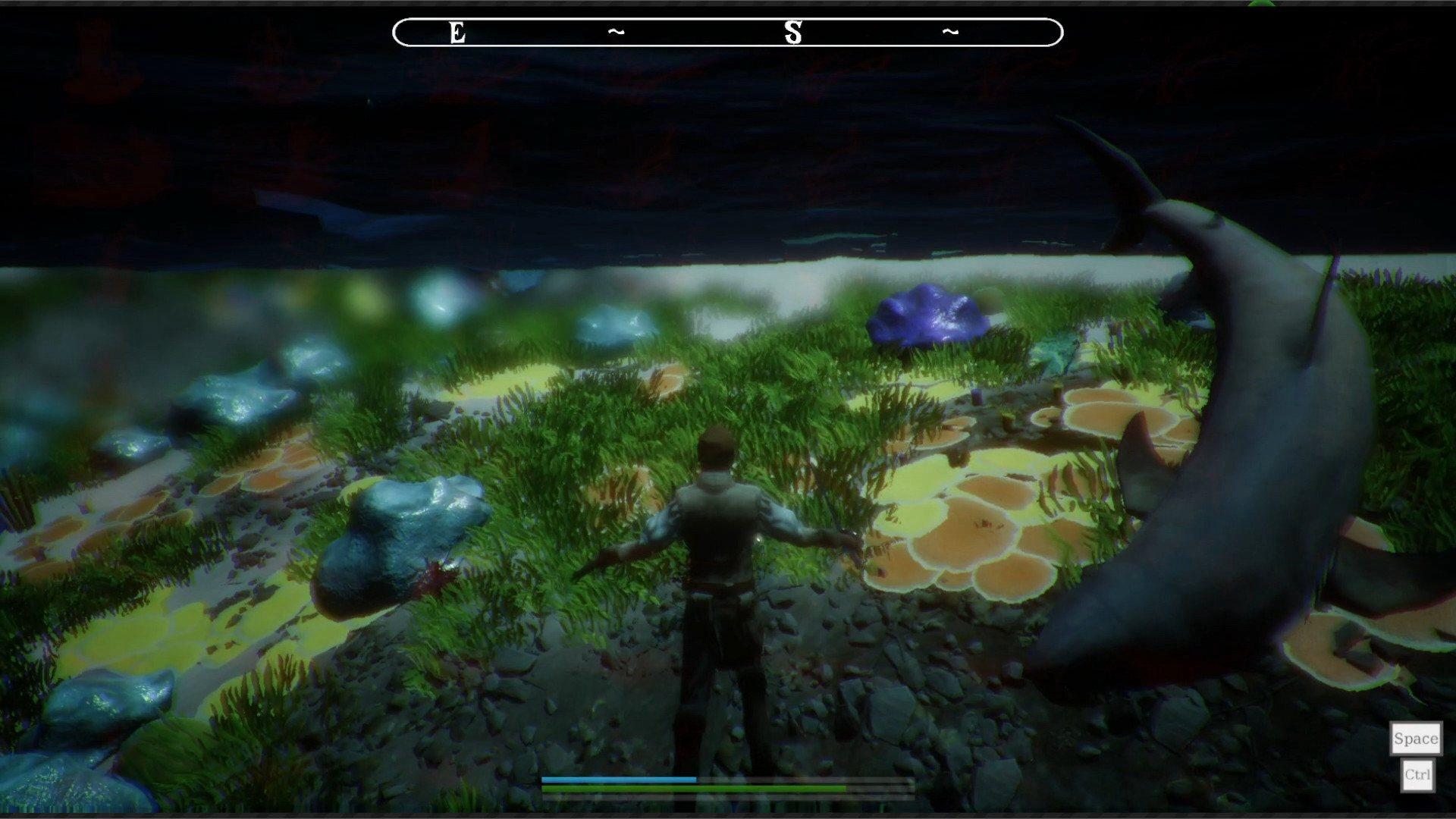 Sail And Sacrifice ستيم كود رقمي