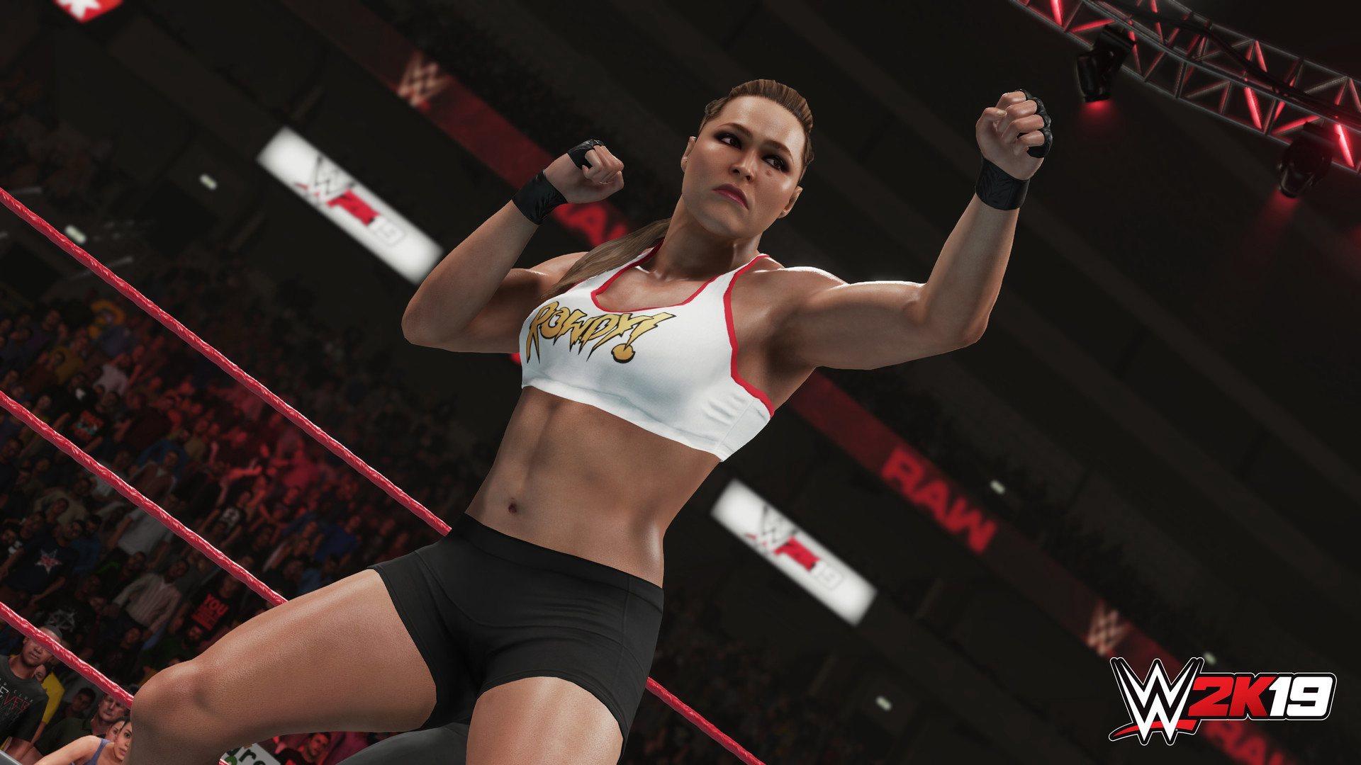 Screen Shot image 0 WWE 2K19 اصدار الديلوكس اوروبي بي سي ستيم كود رقمي