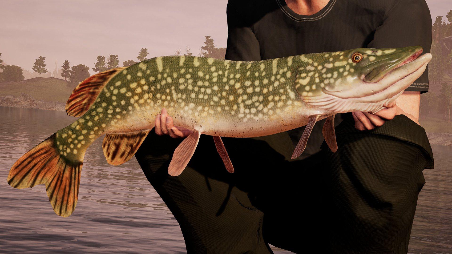 Screen Shot image 3 Fishing Sim World: Pro Tour بي سي ستيم كود رقمي