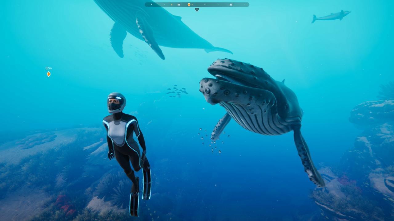 Screen Shot image 0 Beyond Blue اوروبي ستيم كود رقمي