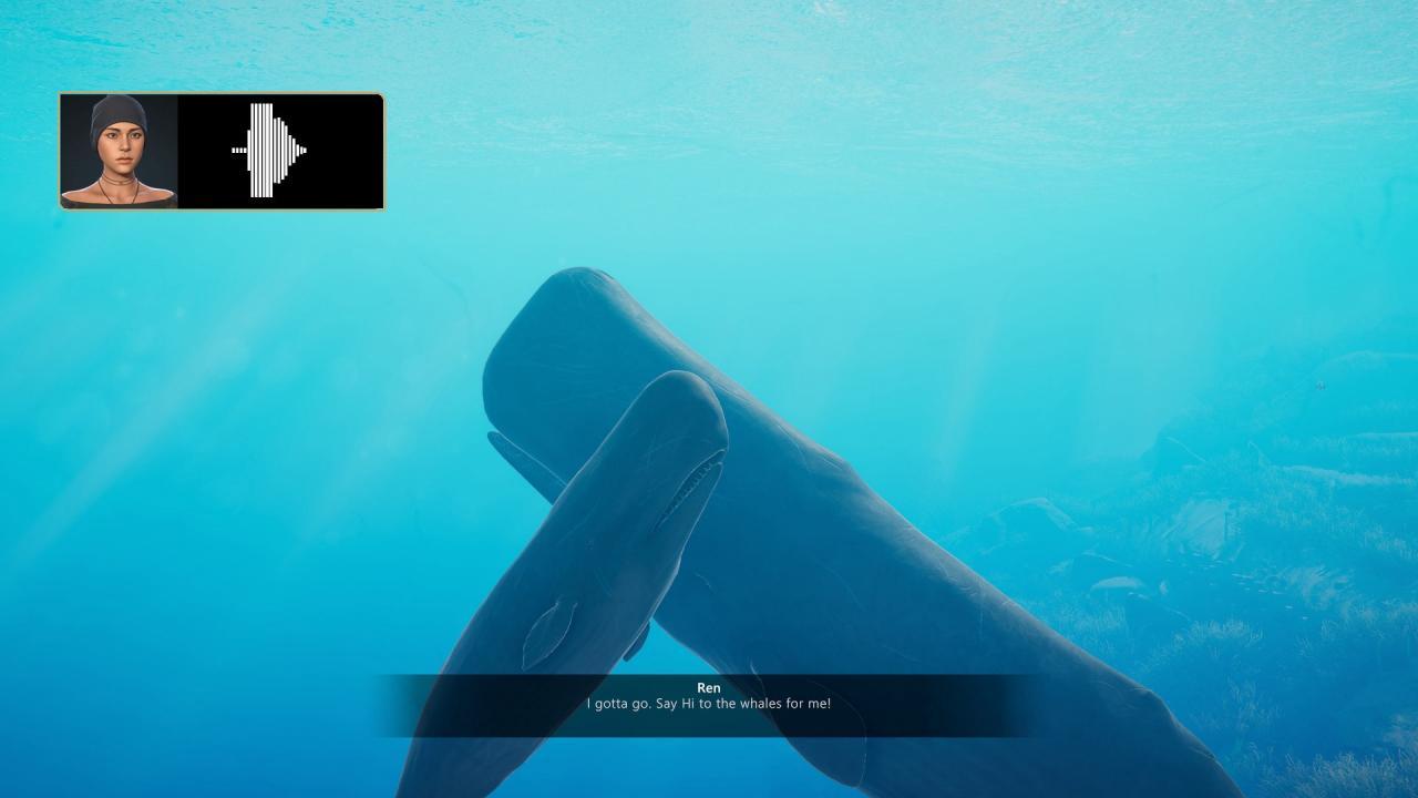 Screen Shot image 6 Beyond Blue اوروبي ستيم كود رقمي
