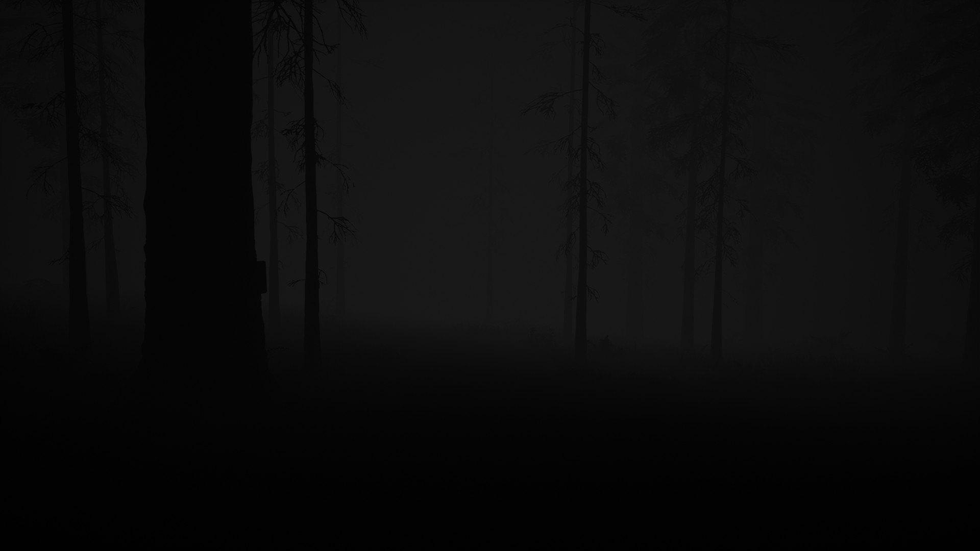 Screen Shot image 1 Study Of Unusual: Forest Of Secrets ستيم كود رقمي
