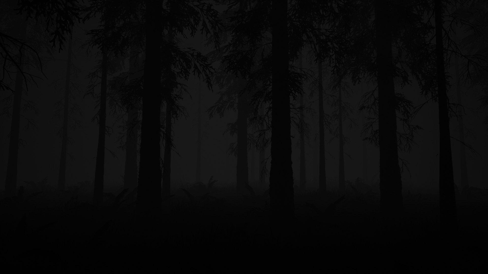 Screen Shot image 3 Study Of Unusual: Forest Of Secrets ستيم كود رقمي