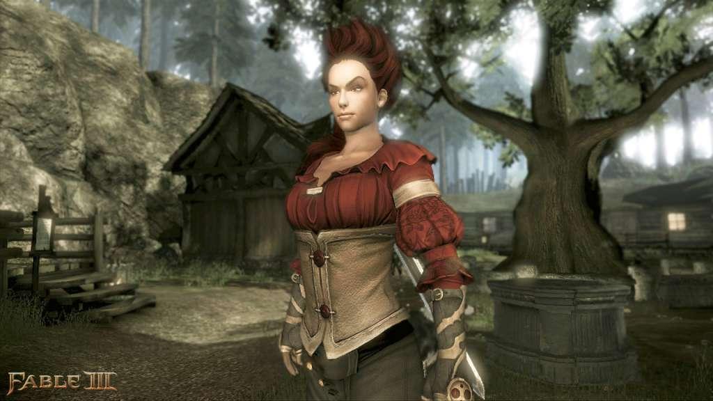 Screen Shot image 4 Fable III ستيم هدية