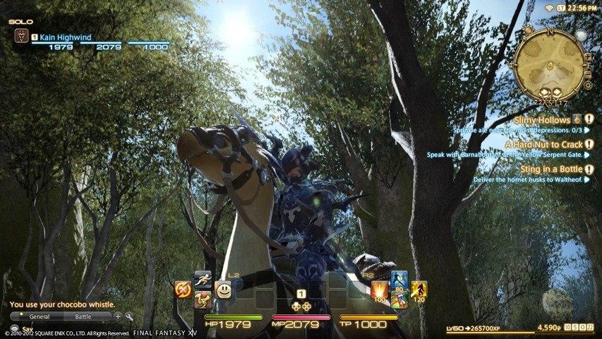 Screen Shot image 0 Final Fantasy XIV: A Realm Reborn Collector'S اصدار اوروبي Digital Download كود رقمي