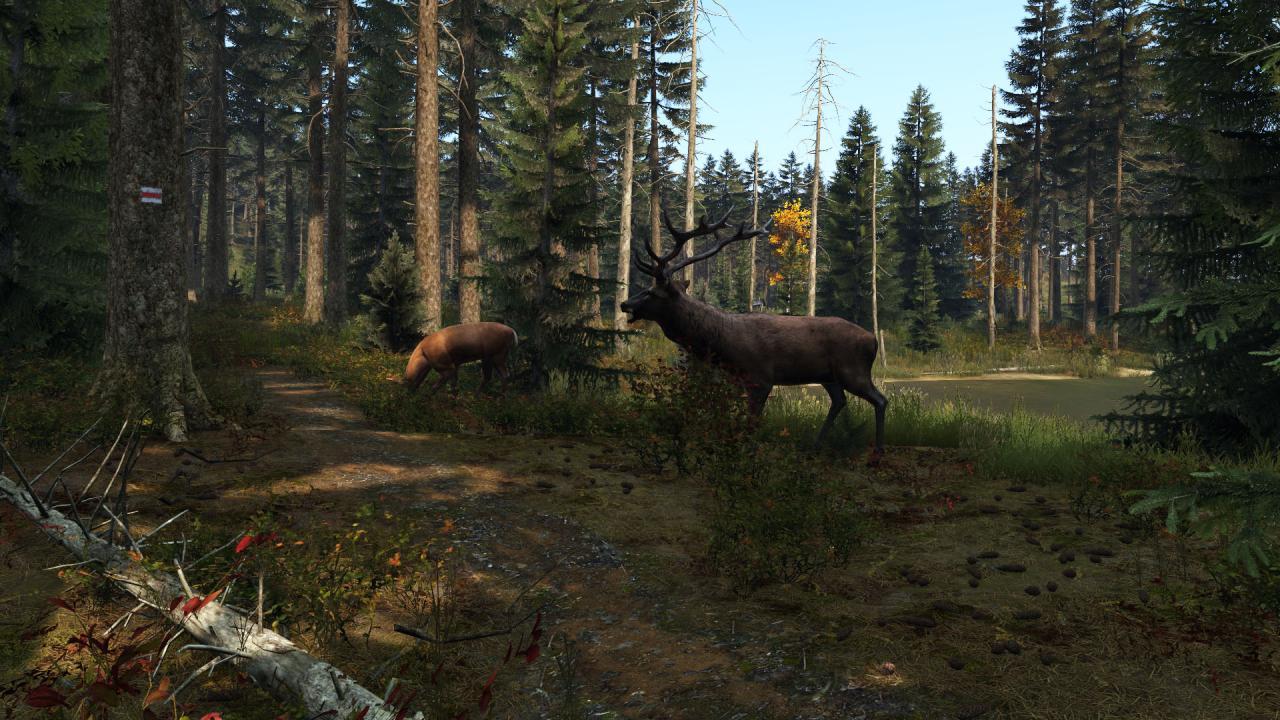 Screen Shot image 6 DayZ اوروبي اكسبوكس 1 كود رقمي