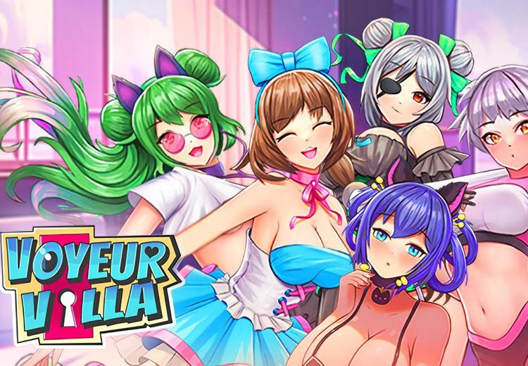 Voyeur Villa - Harem Manager بي سي ستيم كود رقمي