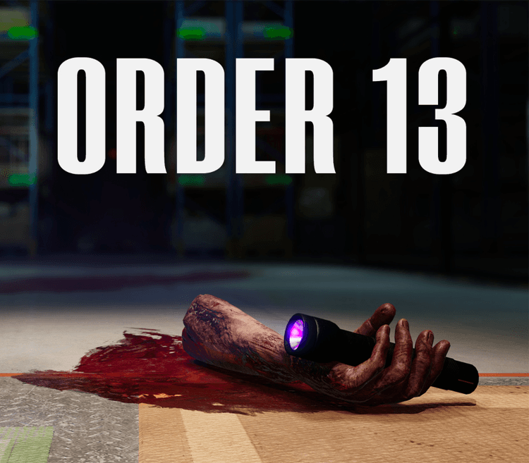Order 13 PC Steam Account