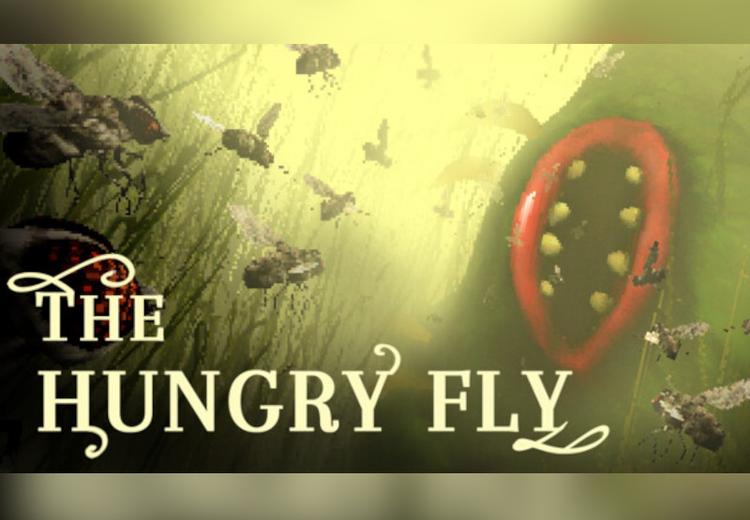 The Hungry Fly اوروبي بي سي ستيم كود رقمي