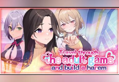 Travel Through The Adult Game And Build A Harem بي سي ستيم كود رقمي