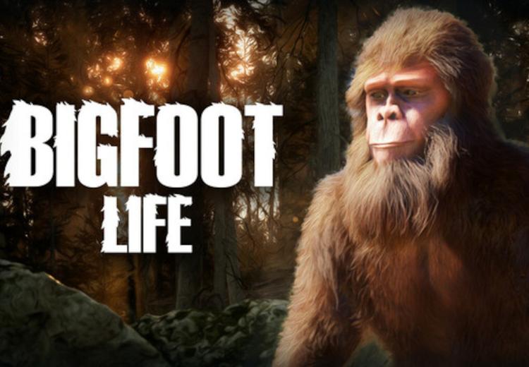 Bigfoot Life بي سي ستيم كود رقمي