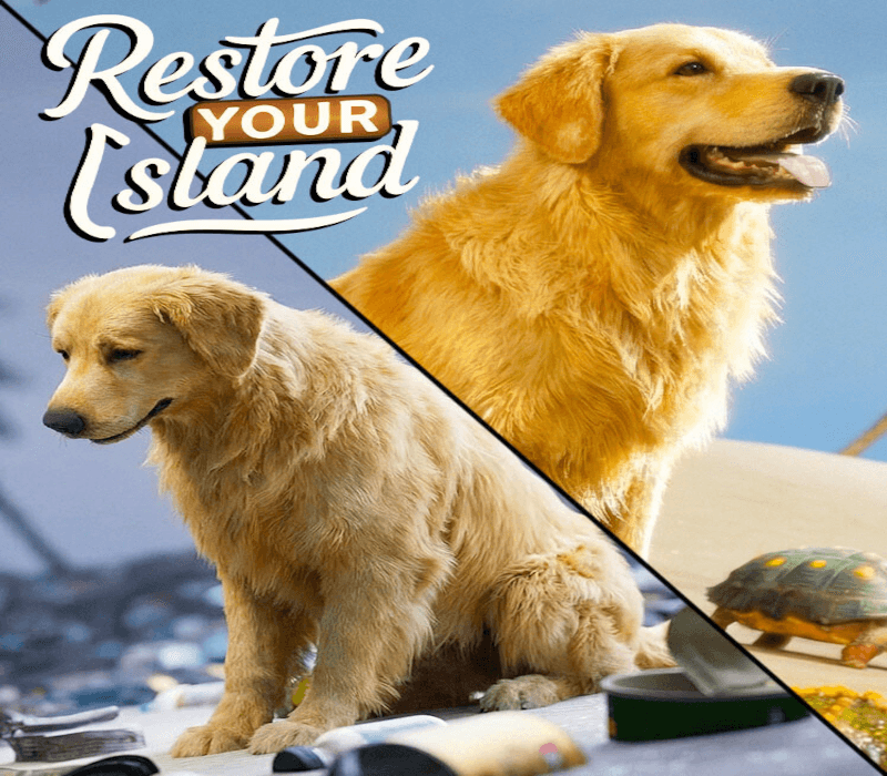 Restore Your Island PC Steam CD Key