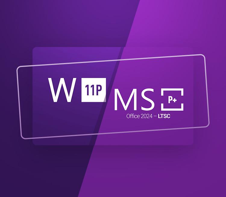 Windows 11 Professional & MS Office 2024 Professional Plus LTSC Bundle Key