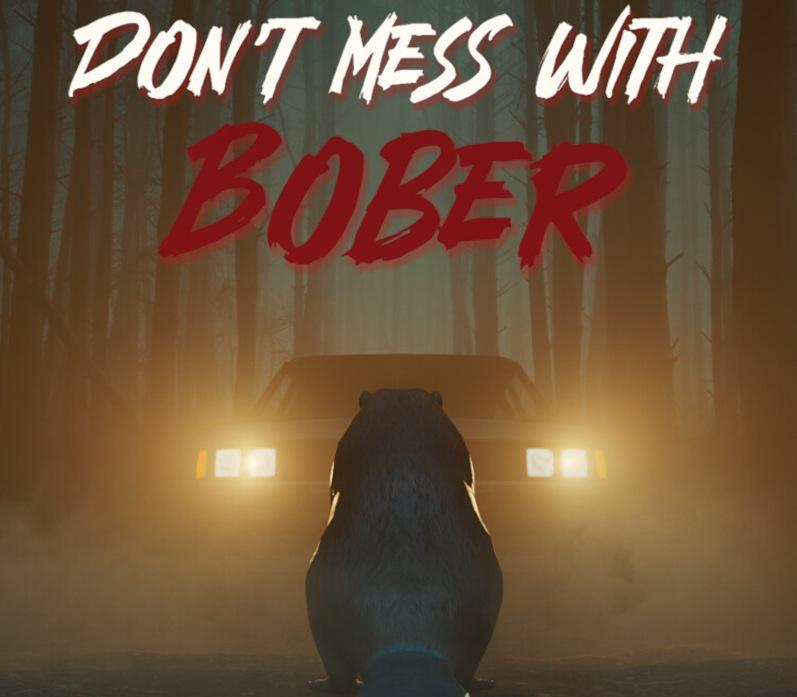 Don't Mess With Bober PS5 Account