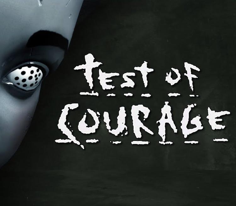 Test Of Courage PC Steam CD Key