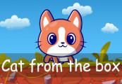 Cat From The Box ستيم كود رقمي